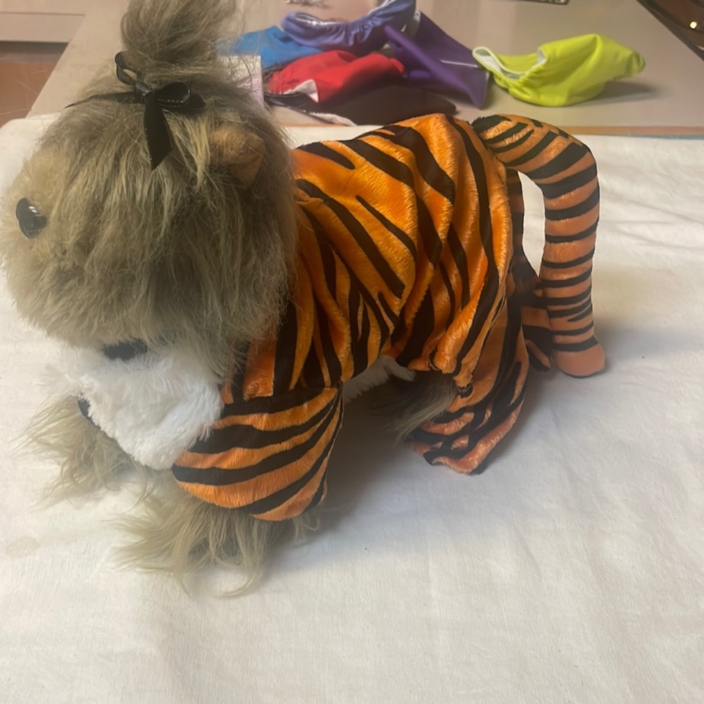 Tiger dog costume